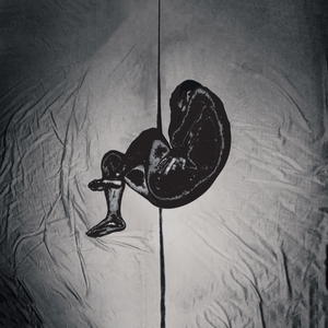 亚洲一级无码一区二区三区
